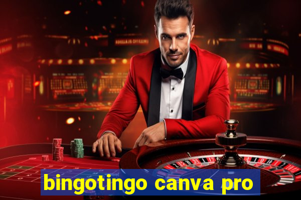 bingotingo canva pro